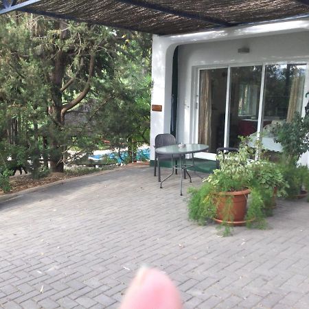 Finca El Rio,, La Casita One Of 2 Self Catering Studios. Pool And Hydrotherapy Jacuzzi 马拉加 外观 照片