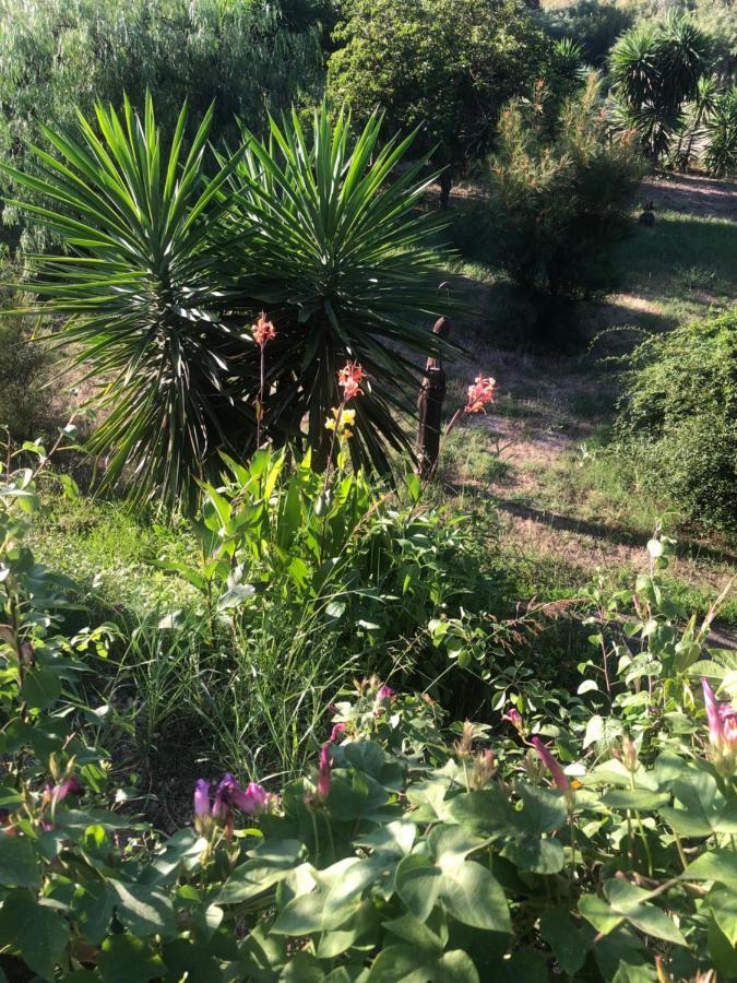 Finca El Rio,, La Casita One Of 2 Self Catering Studios. Pool And Hydrotherapy Jacuzzi 马拉加 外观 照片