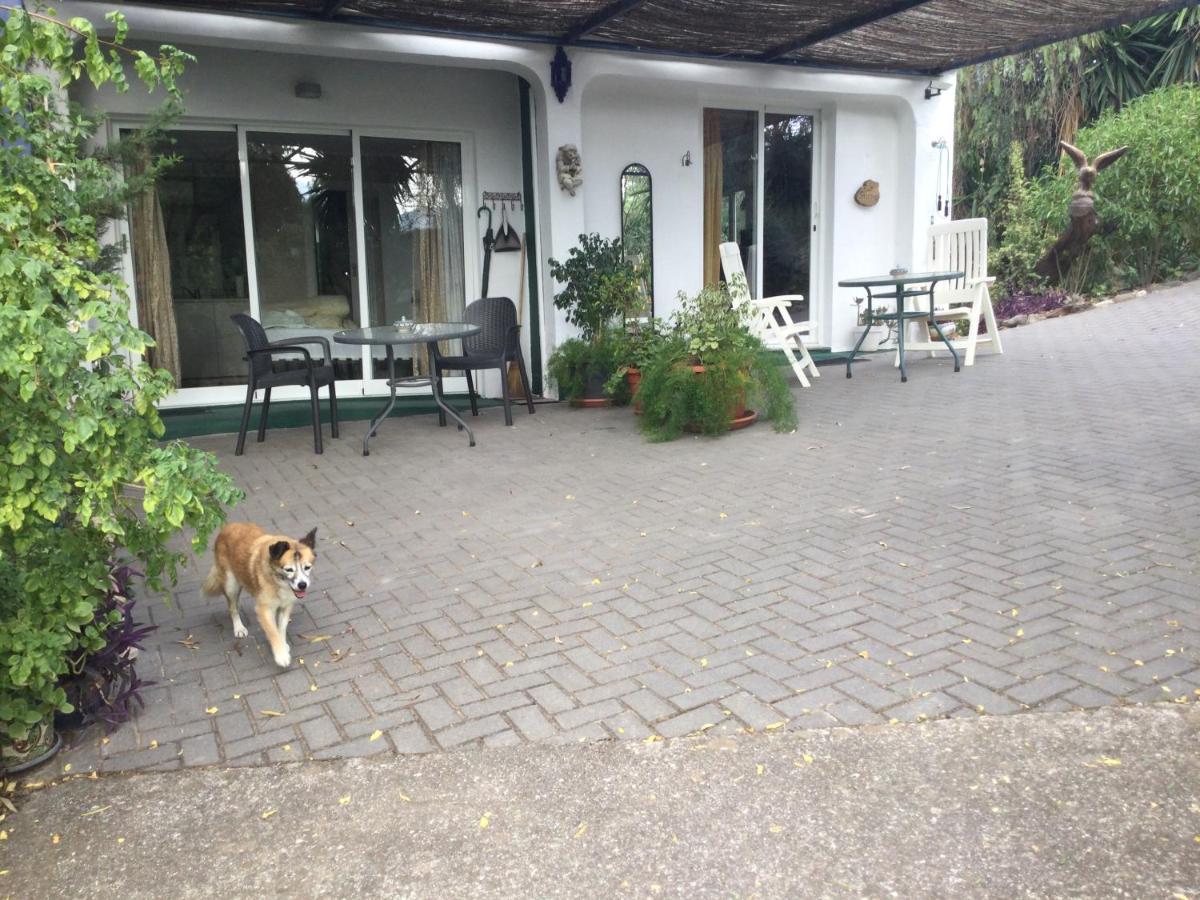 Finca El Rio,, La Casita One Of 2 Self Catering Studios. Pool And Hydrotherapy Jacuzzi 马拉加 外观 照片