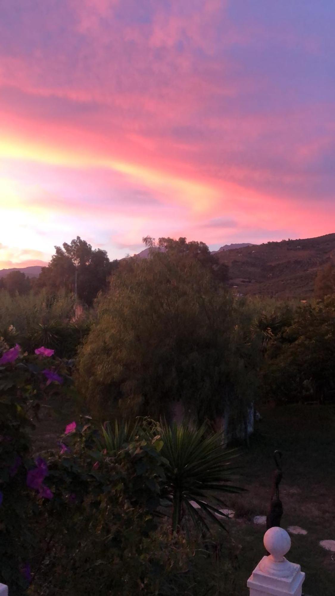 Finca El Rio,, La Casita One Of 2 Self Catering Studios. Pool And Hydrotherapy Jacuzzi 马拉加 外观 照片
