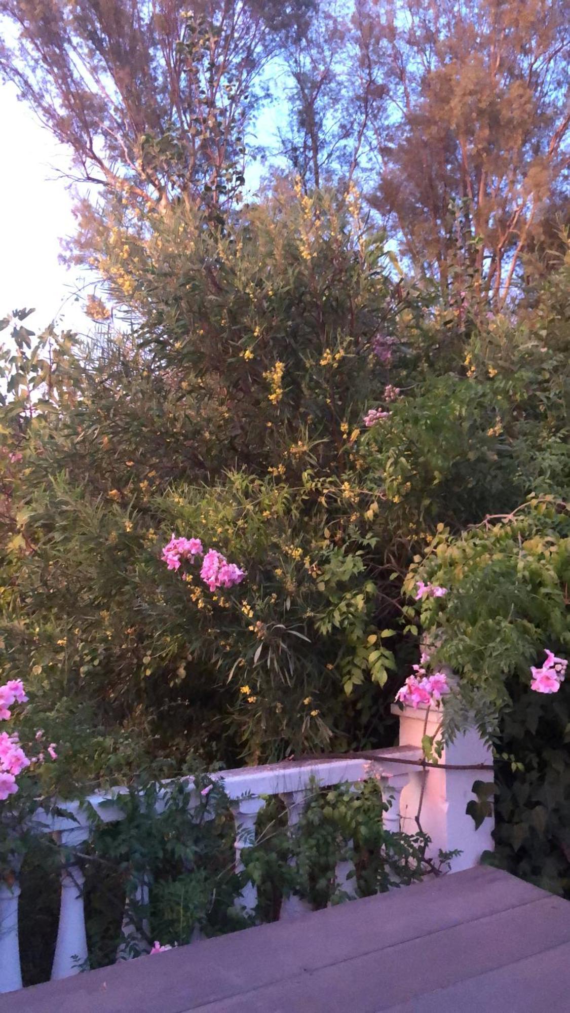 Finca El Rio,, La Casita One Of 2 Self Catering Studios. Pool And Hydrotherapy Jacuzzi 马拉加 外观 照片